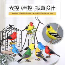 西骑士仿真电动小鸟玩具会叫会动声控光控感应儿童智能小玩具3-6周岁7岁摆设模型互动 HL522-03橙头拟黄鹂