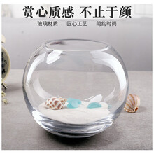 宝贝故事 小鱼缸 小型水族箱办公室桌面创意圆形玻璃小鱼缸迷你金鱼缸 25cm圆球（裸缸）