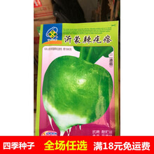 四川特色大头菜种籽光头芥菜种子 特大辣疙瘩种籽 辣菜四季播蔬菜 沂蒙辣疙瘩【两道眉】10克原装