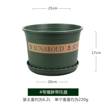 南叶家用绿植盆栽桌面花盆多肉植物圆形种菜盘草莓盆托盘月季盆加仑盆  CS-4号矮胖加仑盆（含托盘）