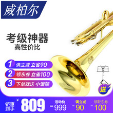 VIBRA威柏尔降B调小号乐器 初学/考级款 125初学考级款