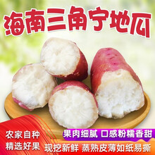 （精选农品）海南澄迈地瓜 沙地紫皮富硒三角宁地瓜 板栗番薯 9斤 精品果（单果2-5两）