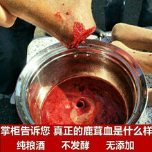 鹿茸血酒纯血男性养生酒鹿鞭整根泡酒鹿血酒吉林双阳梅花鹿之乡 纯血不加酒1斤装