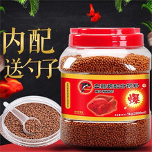 海豚血鹦鹉鱼食增红鱼饲料发财地图鱼粮罗汉鱼鹦鹉鱼配合饲料 1kg_一桶_