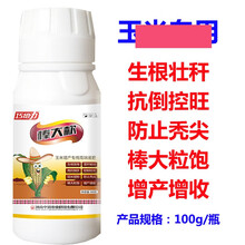 玉米专用控旺矮壮高产复合叶面肥多元素壮苗苞谷棒子膨大增产 1瓶