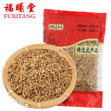 福曦堂 炒谷芽 熟谷芽 炒稻芽 中药材蘖米 谷蘖 稻蘖 炒谷芽 250克*1袋