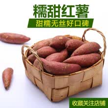 福建沙地六鳌红蜜薯红心超甜红薯 小号9斤装