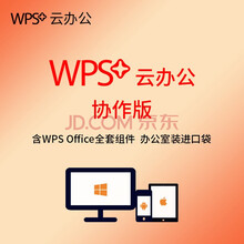 金山WPS+ Office国产化办公软件 云存储协同办公 商业版 2年使用权