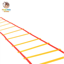 幼儿园早教儿童感统器材体能训练跳房子户外亲子玩具跳格子敏捷梯 敏捷梯（5米10节）