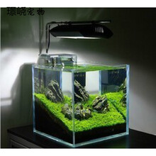 养乌龟的玻璃缸超白鱼缸水族箱生态缸cm厘米方缸热弯缸 直角超白60*30*35送七