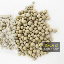 兰花肥料专用肥植料 颗粒缓释肥 君子兰多肉绿植花卉盆栽通用营养肥 兰花专用缓释肥500克