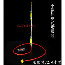 园艺长杆喷枪喷壶往复式农用喷雾器打药洗车消毒不锈钢浇花洒水器 468小款伸缩款+送配件/2.4米管