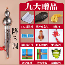 葫芦丝盒子成人 装葫芦丝的外壳保护盒套袋子包装袋c调学生 降B调-闪亮银【三代升级-可拆吹嘴】九大含教材