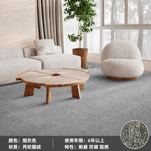 安俊 办公室地毯商用酒店客厅卧室房间舞蹈房民宿卷材可裁剪圈绒工程满铺地毯写字楼隔音防滑地毯 烟灰色 4米宽×0.25米长=1平米【8件起拍】