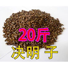 决明子玩具沙滩玩具套装玩沙工具沙池儿童沙子铲子散装做枕芯家用 20斤决明子【干净.无尘】