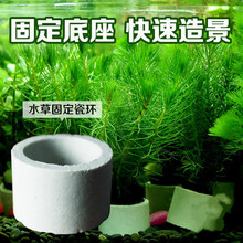 水草固定环 水草植物固定底座沉重沉底陶瓷杯重力环水草快速造景装饰 3个