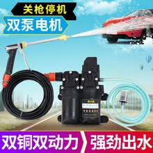 车载洗车水枪高压洗车机双泵12v便携电动洗车器家用洗车泵刷车工具 经典款双泵-标配长水枪