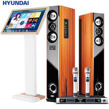 HYUNDAI/现代 318-20家用K歌卡拉ok音箱蓝牙客厅电视家庭影院有源落地音响大功率低音炮 318-20+专业无线麦克风+点歌机