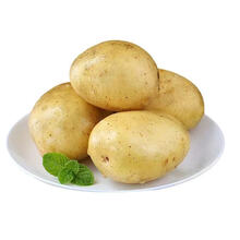 【顺丰发货】新鲜土豆5 /10斤马铃薯土豆现挖新鲜蔬菜 【小果】【5斤装】较小