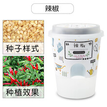 园艺小花农开心农场创意迷你盆栽罐头花卉植物种子幼儿园儿童DIY种植 辣椒