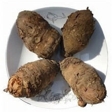 花中酷   丁独豆独角连（莲）丁独豆独角连（莲）白附子 种子千天花干货无硫中药材种子 野生5-6个   550克向上