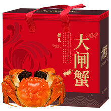 【活蟹】蟹友汇 六月黄大闸蟹鲜活螃蟹现货 2.6-2.9两 8只装