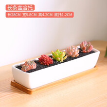 云南直发MuMuHome多肉植物花盆创意肉肉简约长方形多肉花盆白瓷盆多肉陶瓷 长条盆含托（不含植物和土）