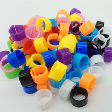 鸽子用品卡环开口脚环开口识别数字记号环彩色卡环足环 8mm内径无编号50个 颜色随机