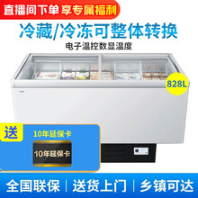 海尔冰柜冷柜卧式展示柜岛柜超市雪糕柜冰淇淋柜冷冻柜透明玻璃推拉门 828升