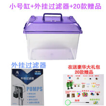 超白金鱼缸 透明 宠物爬虫乌龟缸塑料大号带盖鱼盒手提水族箱鱼缸 小号缸+外挂过滤器