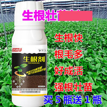 植物育苗壮苗剂扦插多肉草莓强力生根剂花卉苗木爆发生根水催芽液 拍5瓶发6瓶