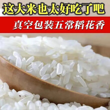 千畅安维霆东北五常稻花香大米长粒香米农家自产年新米 【五常】长粒香米20斤【新客都在购】
