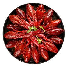 蟹小茉 小龙虾可剥虾尾小龙虾球 十三香味小龙虾1.8kg(4-6钱)35-50只