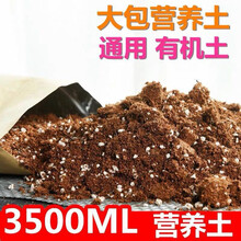 多肉植物花盆铺面石多肉土专用营养土植物铺面石珍珠岩炭 家庭园艺用土3500毫升 中等
