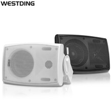 威斯汀（WESTDING） 威斯汀(WESTDING)定压吸顶喇叭天花板壁挂吊顶音响 白色 B05壁挂喇叭/黑色