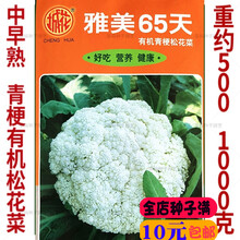 新种蔬菜种子青梗松花菜种子散花菜早熟花椰菜种籽白菜花籽春秋播大田