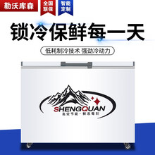 勒沃库森 商用卧式冰柜 大容量冷冻冰箱 双温单温冷藏展示柜 超市冷柜 398L单温