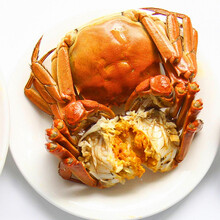 【活蟹】巨蟹汇螃蟹鲜活大闸蟹现货水产礼盒 六月黄 不分公母 1.5-1.8两 10只