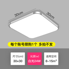 德极吸顶灯客厅现代简约长方形主卧室灯大厅家用吸灯顶办公室超亮 乳白色 30x30高光24W