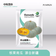 中科茂华蔬菜种子天山银栗南瓜种子中科银栗板栗南瓜3-4斤新疆茂华银栗银灰色粉糯超甜面肉质细腻规模种植 天山银栗5克/袋【超甜板栗型-长蔓】