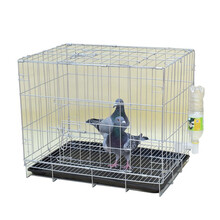 筱宠QX18鸽子笼养殖笼鸽子配对笼笼子大型大号繁殖鸽笼折叠鸽子笼家用 粗60*42*48带粪盘