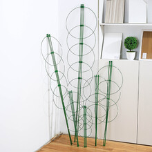 爬藤支架盆栽植物固定藤蔓花架藤本月季爬藤架铁艺花架花支柱 1.5米长