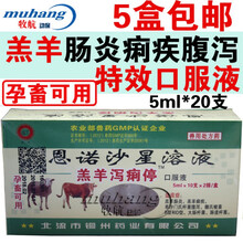 兽药兽用恩诺沙星口服液羔羊泻痢停严重肠炎痢疾腹泻羊药孕畜可用