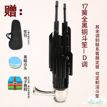 米囹 笙乐器初学者14簧方笙17簧21簧圆笙降B降CED调初学笙乐器 17簧全黑铜斗笙(默认D调，可定做其他调别)