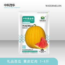 中科茂华水果种子金玲珑中科黄金帅西瓜种子黄皮红肉礼品西瓜种籽小果4-8斤超甜多汁含糖12.5度采摘园 中科黄金帅400粒/袋【黄皮红肉4-8斤】