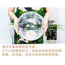 刺猬跑球  仓鼠鼠龙猫跑球12/16/19/27cm 加厚高透白27cm