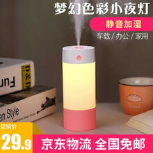 nanum 空气加湿器 家用卧室宿舍办公室桌面迷你香薰净化除菌USB创意礼物礼品小夜灯 1号加湿器 粉红色