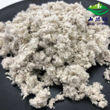 【源头保正】山滋情 野生云芝 黄云芝粉250克干品