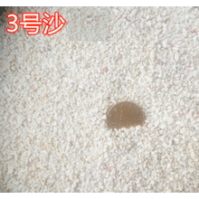 海缸底沙菲律宾珊瑚沙鱼缸底沙水族箱海水珊瑚缸底砂三湖慈鲷鱼寄居蟹海沙造景 3号沙3-4mm左右(5斤)