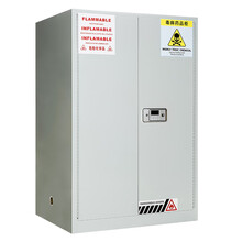 皇球 毒麻药品柜安全柜化学品柜防火防腐蚀试验品储物柜防爆柜 90加仑长1090*宽860*高1650mm=4格